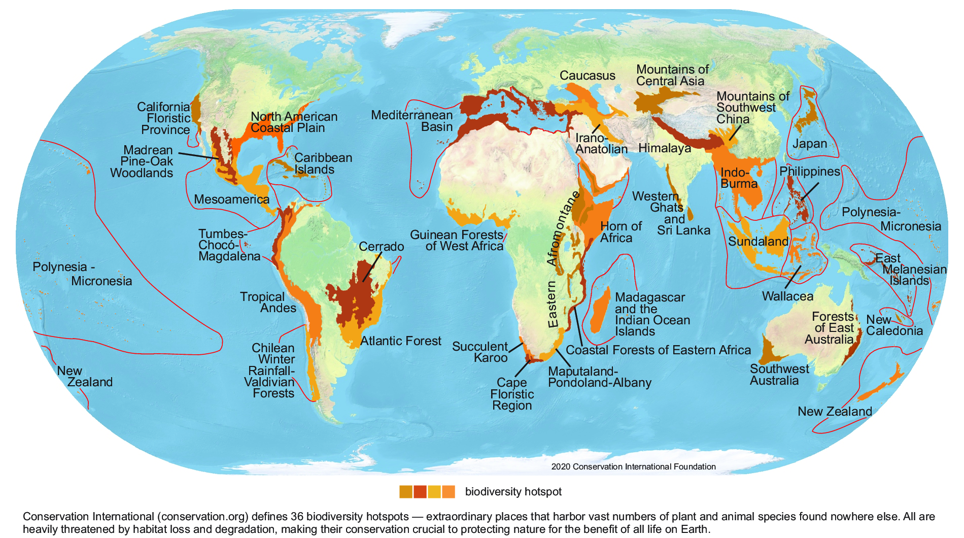 Biodiversity hotspots around the world