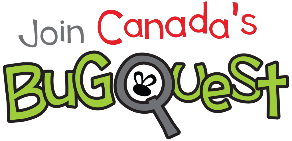Join Canada's BugQuest